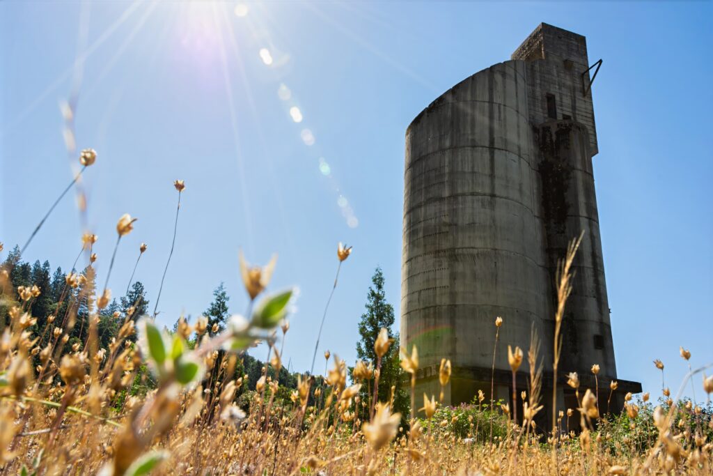 an old concrete head frame surrounded by wild plants and trees